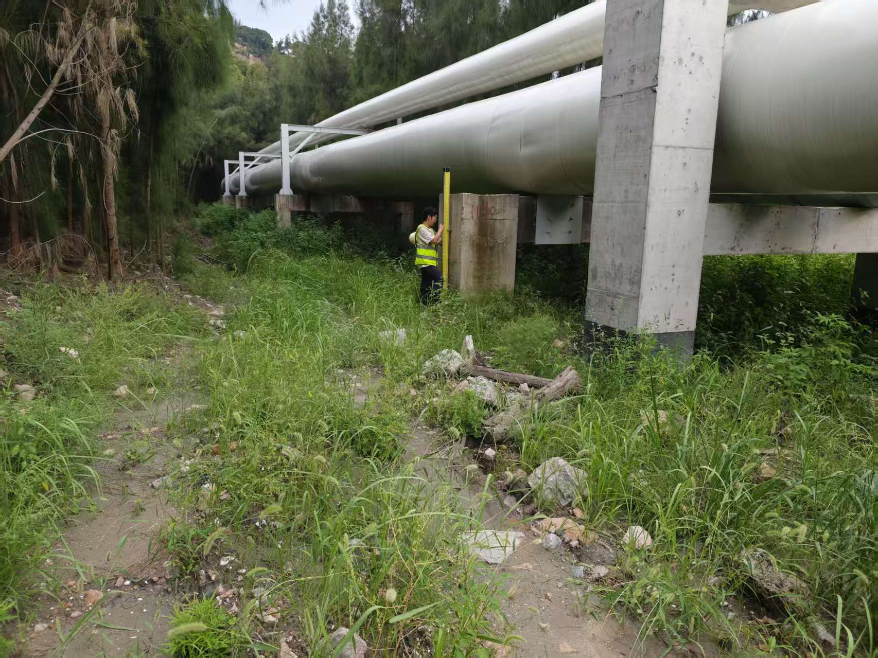 微信圖片_20250724152936_85